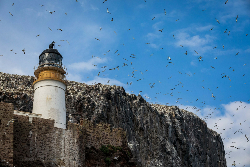 Tác phẩm chụp Bass Rock Lighthouse của tác giả Bella Falk. Bass Rock là hòn đảo nằm ngoài khơi Scotland. Kể từ năm 1988, khi người canh giữ ngọn hải đăng qua đời, nơi đây trở thành thuộc địa của loài chim điên phương Bắc