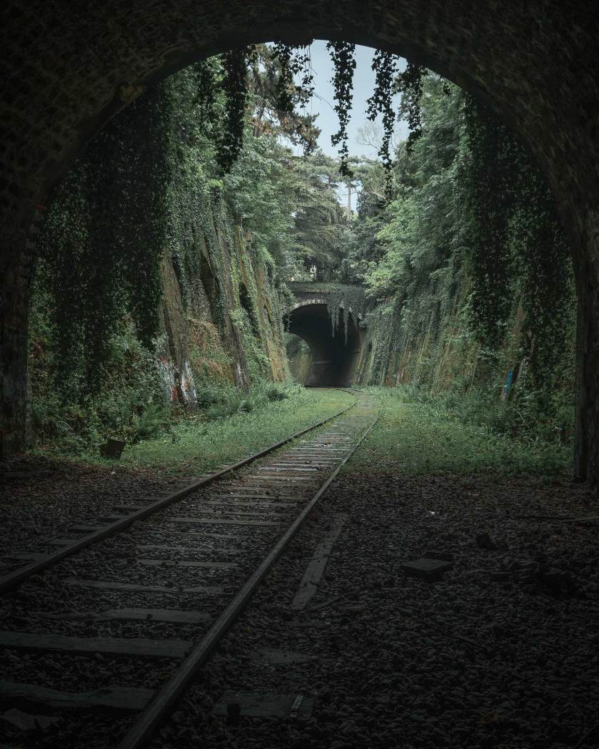 Paul Harris cũng gây dấu ấn với bức ảnh chụp La Petite Ceinture. Tuyến đường sắt trước đây được xây dựng quanh Paris (Pháp) để vận chuyển hàng hóa và hành khách. Ngày nay nó bị bỏ hoang, nhưng thu hút nhờ sở hữu sự quyến rũ như một khu vườn bí mật