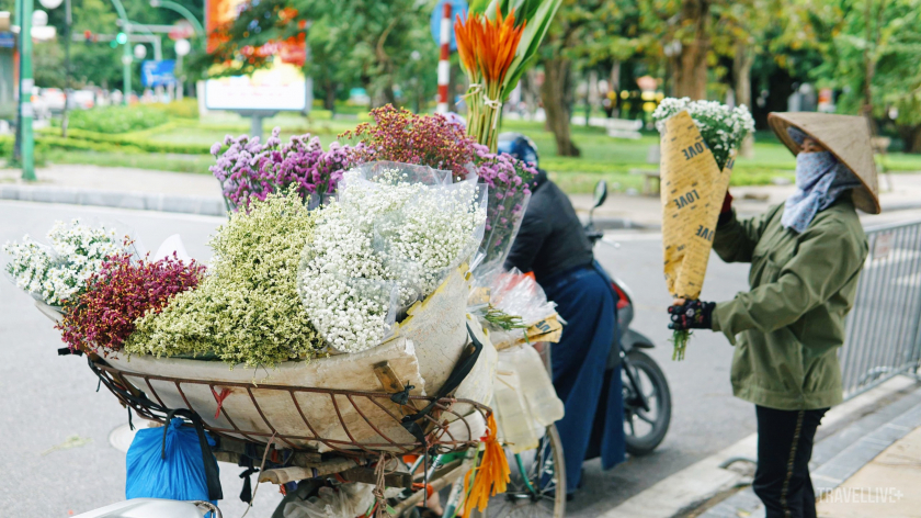 Chiếc xe chở đủ các loài hoa chạy quanh phố phường