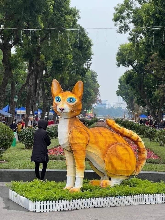 Mèo ở công viên Thống Nhất, Hà Nội