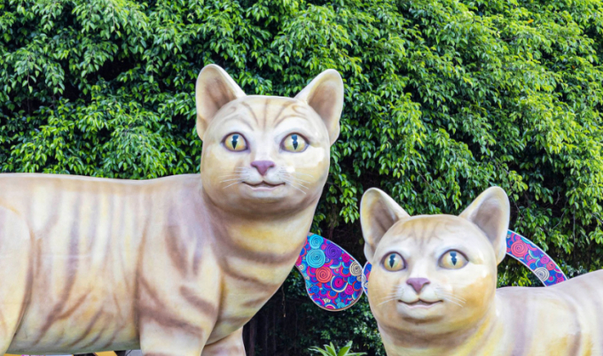 Linh vật mèo Vũng Tàu được trưng bày tại công viên Tam Giác, bãi Trước (Vũng Tàu, Bà Rịa - Vũng Tàu). Ngoài cặp mèo lớn, quanh công viên cũng được bài trí nhiều tượng mèo với hình dáng, màu sắc khác nhau