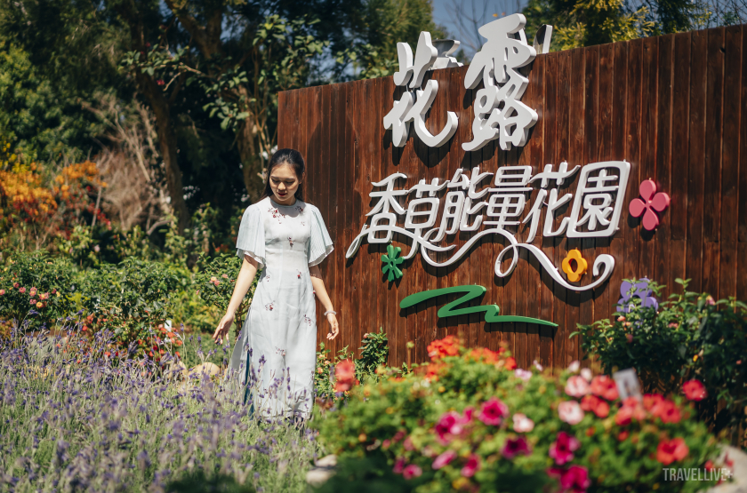 Hoa hậu Du lịch Việt Nam 2022 Lương Kỳ Duyên có chuyến ghé thăm nông trại hoa Flower Home