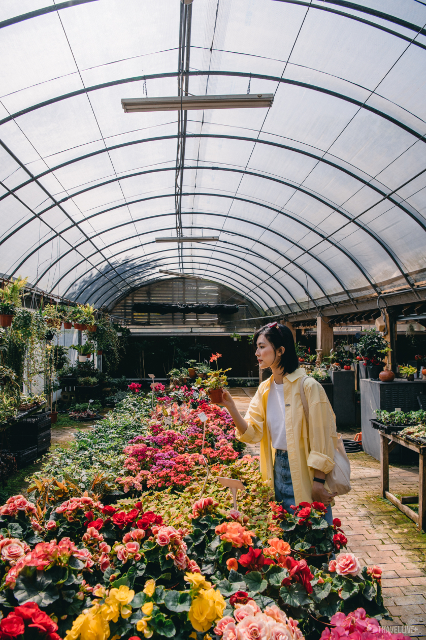 Travel Blogger Helly Tống có cơ hội ngắm các loại hoa quý tại Flower Home.