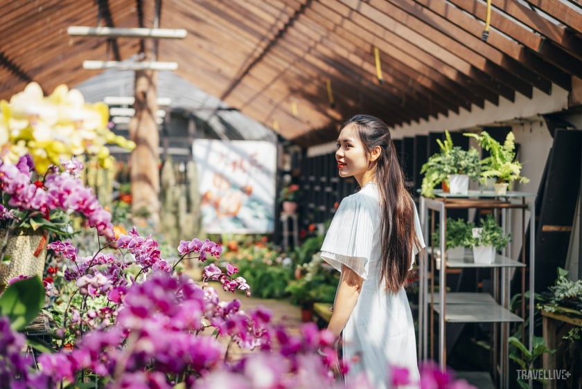 Hoa hậu Du lịch Lương Kỳ Duyên thích thú bởi không gian nhiều loài hoa quý ở nông trại Flower Home