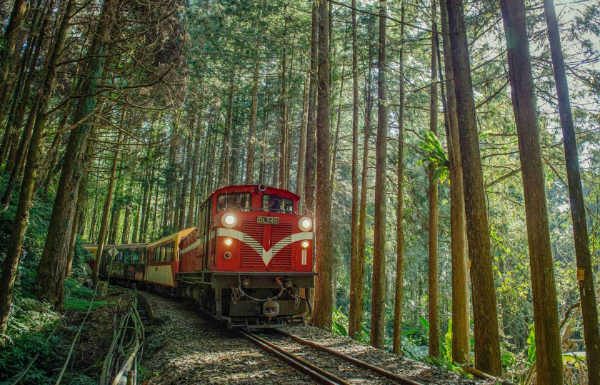 alishan-forest-railway