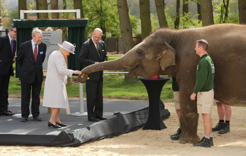 Nữ Hoàng Anh tới thăm vườn thú Whipsnade.