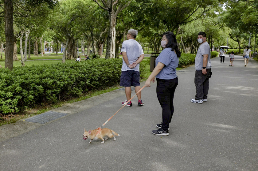 Dắt chó đi dạo trong công viên Đài Bắc.