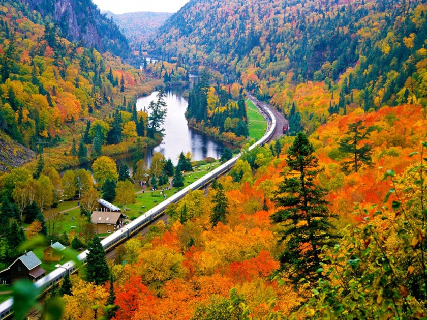 Chuyến tàu xuyên Canada giữa rừng mùa thu thay lá.