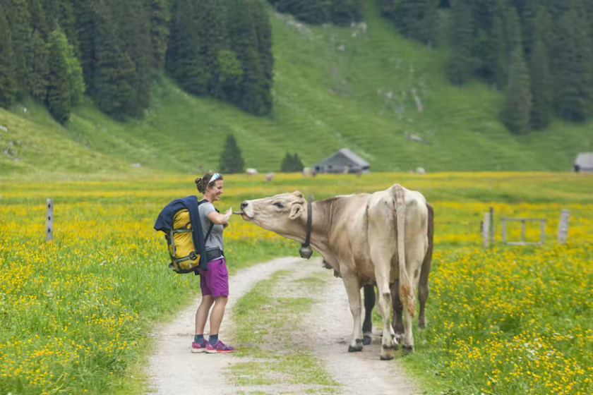 Vùng nông thôn đông bắc Thụy Sĩ có nhiều trang trại rộng lớn.
