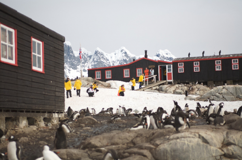 Đây còn là ngôi nhà của hàng trăm chú chim cánh cụt.