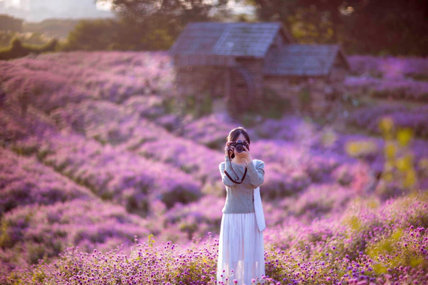 Thế Anh đến vào ngày giữa tuần, nên anh có thể chụp toàn cảnh cánh đồng hoa màu tím.