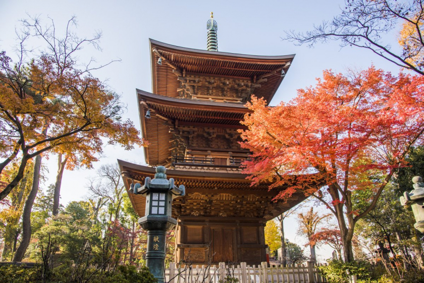 Ngôi đền Gotokuji vào mùa thu.