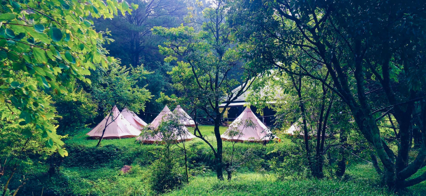 Khung cảnh nên thơ của Camping in Dalat (Ảnh Facebook Tour Cắm Trại Đà Lạt - Camping in Dalat)