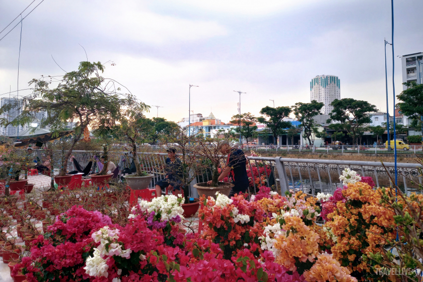 Chợ hoa kéo dài khoảng 3km như một tấm thảm hoa dọc theo con đường Bến Bình Đông và kênh Tàu Hũ, đồng thời nằm song song với đại lộ Võ Văn Kiệt.