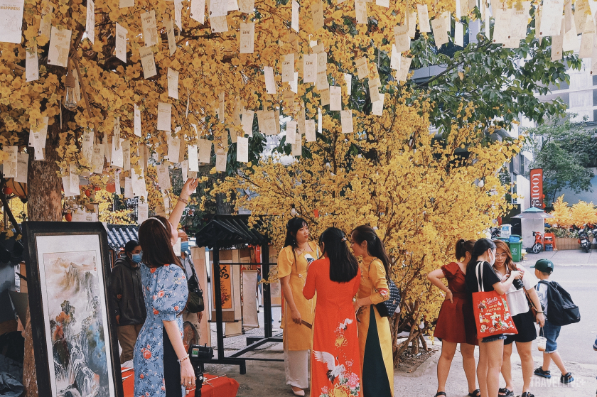 Phía trong khuôn viên Nhà Văn hóa Thanh Niên là đường mai, được trang trí gần 100 gốc mai để phục vụ người dân, du khách tham quan, chụp ảnh.