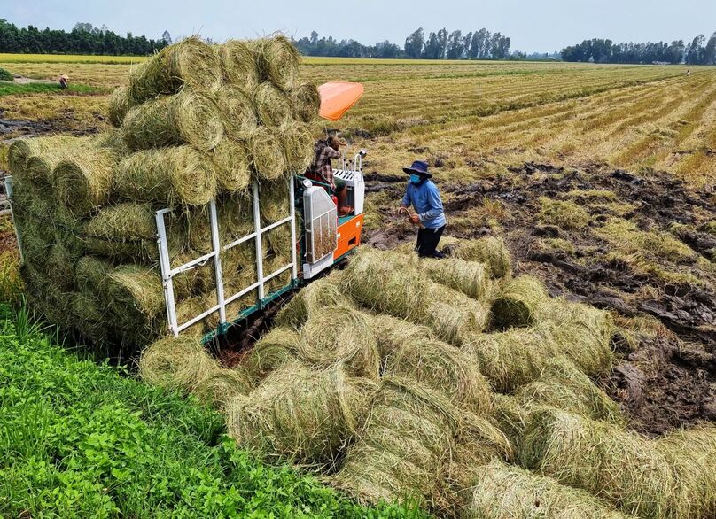 Mô hình nông nghiệp tuần hoàn mang lại nguồn lợi to lớn cho người nông dân (ảnh minh hoạ: baocantho.com.vn)