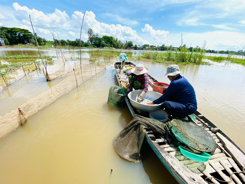 Mùa lũ mang theo phù sa bồi đắp đồng bằng và các sản vật cho người nông dân (ảnh: Thanhnien.vn)