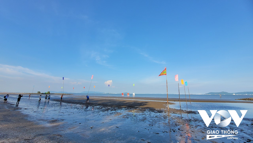 Bãi biển nơi sẽ diễn ra lễ hội đua cà kheo