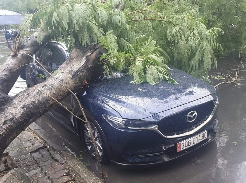 Hà Nội: Cây xanh bật gốc trong trận mưa lớn đè vào ô tô