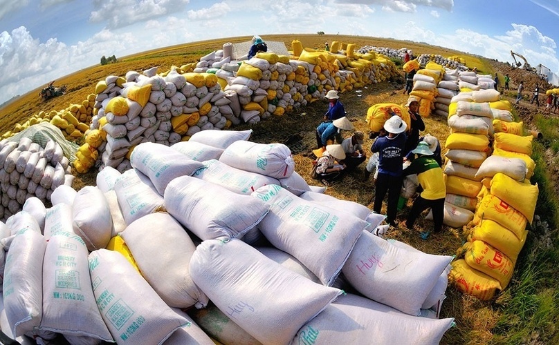 Thủ tướng yêu cầu các Bộ, ngành có giải pháp ổn định thị trường trước lệnh cấm xuất khẩu gạo tấm của Ấn Độ. Ảnh: Vnbusiness