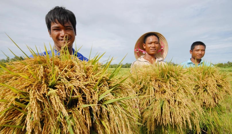 Chuyển đổi sang trồng lúa chất lượng cao cho bà con thu nhập tốt hơn (ảnh: báo nông nghiệp)
