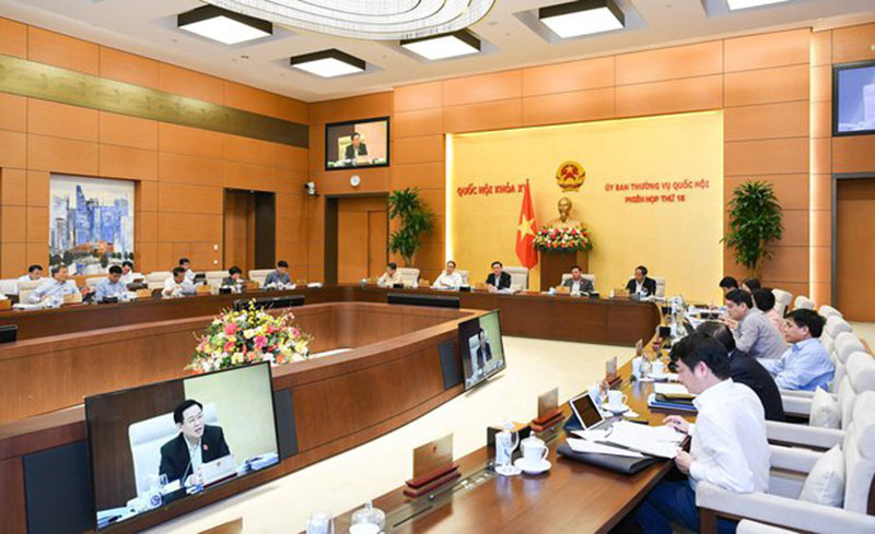 Ủy ban Thường vụ Quốc hội họp cho ý kiến về dự thảo Nghị quyết của Quốc hội về thí điểm cấp quyền lựa chọn sử dụng biển số ô tô thông qua đấu giá - Ảnh: Baochinhphu