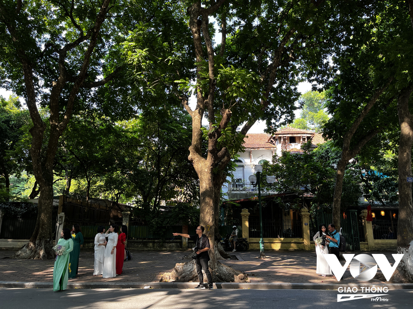 Đường Phan Đình Phùng đang vào mùa đẹp nhất trong năm, thu hút rất nhiều tay máy và mọi người đến đây chụp ảnh kỷ niệm