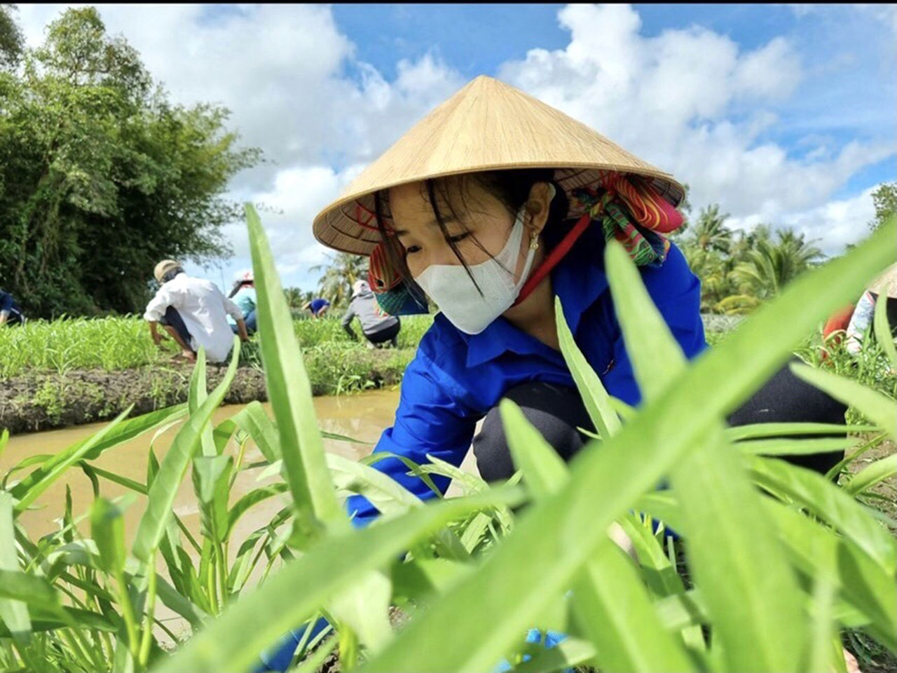 Trang hỗ trợ nông dân thu hoạch nông sản thời điểm dịch bệnh Covid-19 bùng phát mạnh năm 2021 - Ảnh Thanh Niên