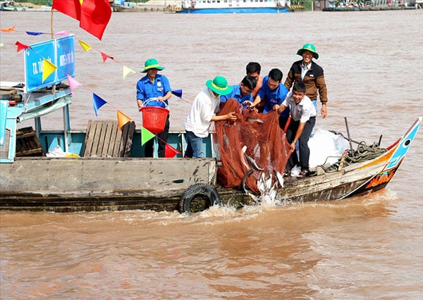 Thả cá trên sông Vàm Nao. Ảnh: laodong.vn
