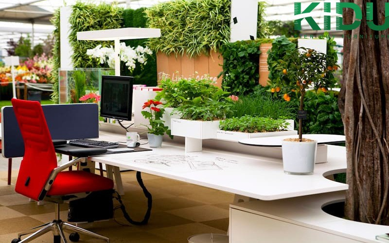 Mẫu thiết kế không gian xanh cho văn phòng làm việc