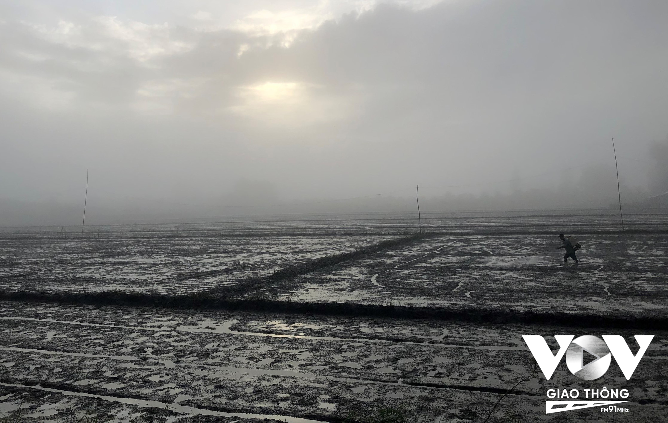 Đến 8 giờ sáng, tình trạng sương mù vẫn còn, nông dân tranh thủ xuống đồng phun xịt thuốc cho lúa.