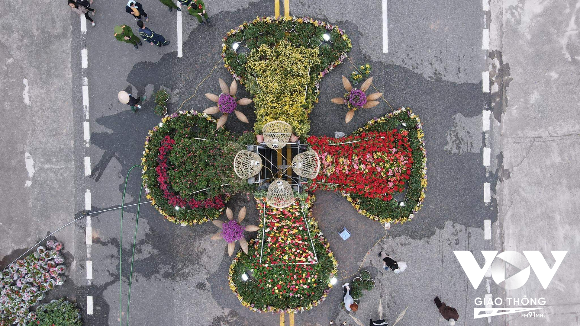 Thời điểm này các nhà vườn tại Mê Linh đang tất bật chuẩn bị cho Festival hoa 2022 được tổ chức từ ngày 9-11/12.