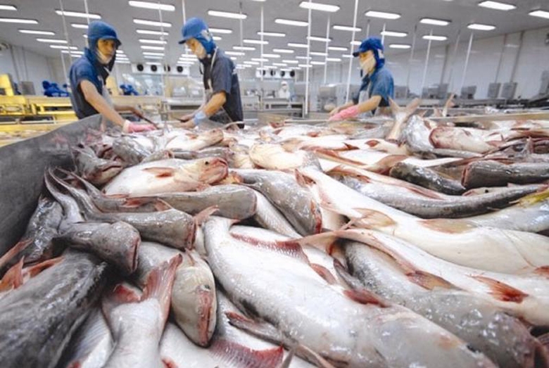 Cá tra - ba sa là mặt hàng xuất khẩu của Việt Nam bị Hoa Kỳ khởi xướng điều tra phòng vệ thương mại (Ảnh minh họa: VnEconomy)