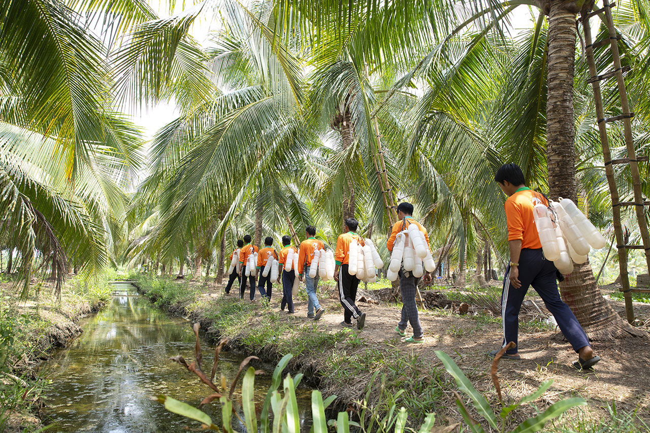 Hành trình đi lấy mật hoa dừa của Sokfarm. Dự án khởi nghiệp của Sokfarm giúp tăng giá trị kinh tế cây dừa gấp 3 lần và cải thiện sinh kế của đồng bào Khmer tỉnh Trà Vinh.