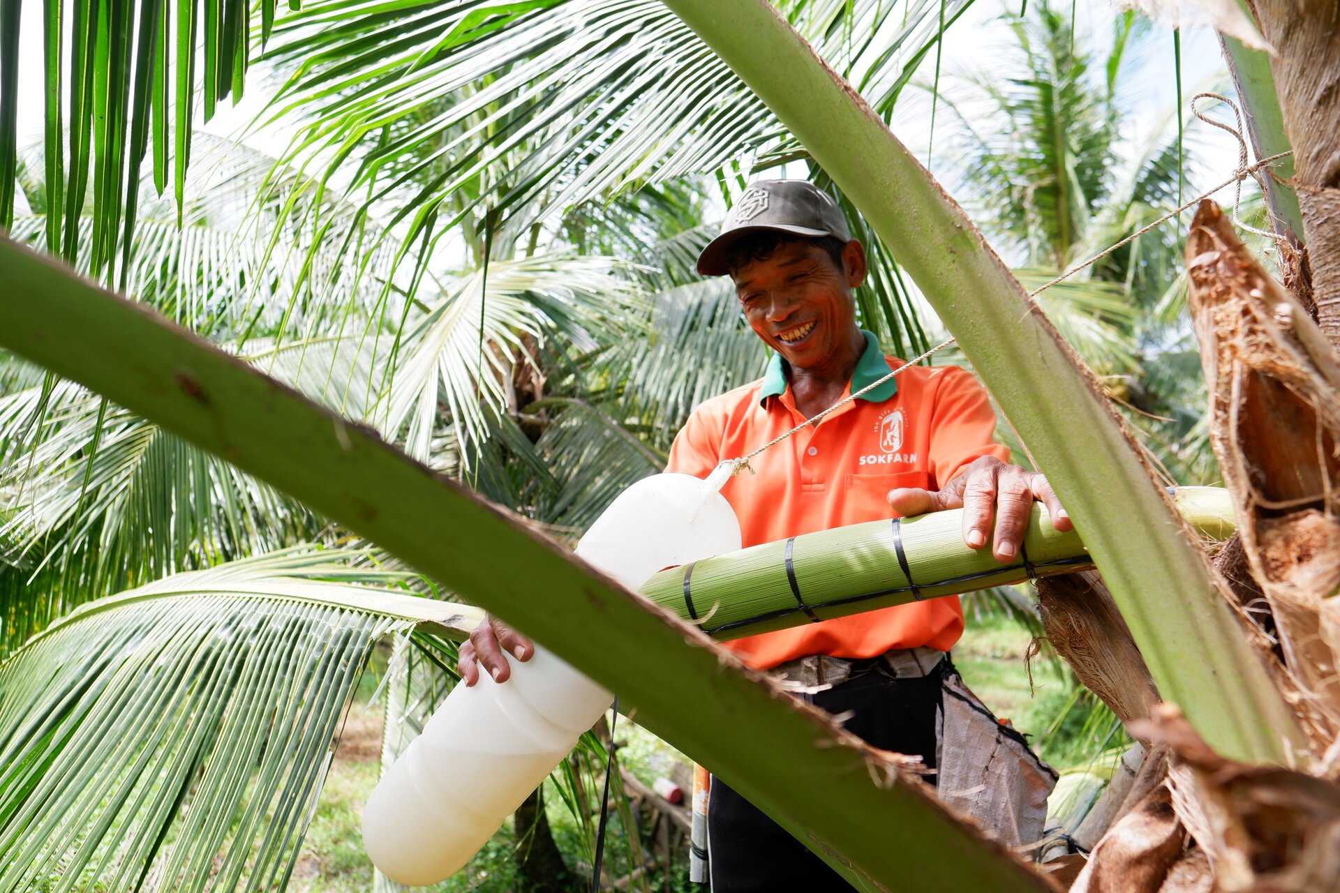 Hành trình đi lấy mật hoa dừa của Sokfarm. Dự án khởi nghiệp của Sokfarm giúp tăng giá trị kinh tế cây dừa gấp 3 lần và cải thiện sinh kế của đồng bào Khmer tỉnh Trà Vinh.