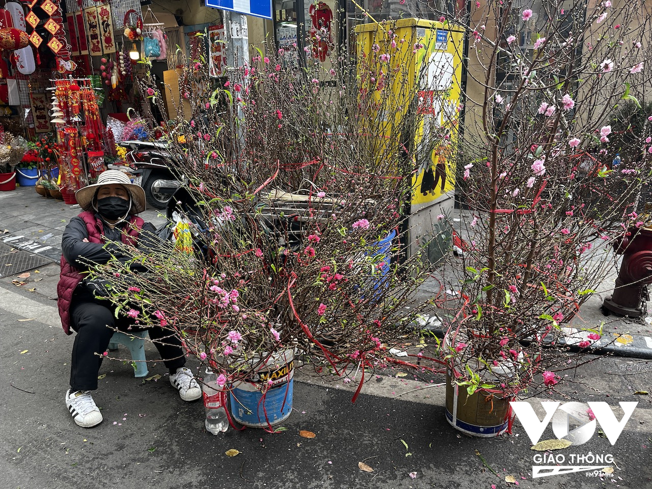 Dù chợ hoa Hàng Lược chưa chính thức đi vào hoạt động, nhưng một vài người đã mang hoa đào ra bày bán ở đây