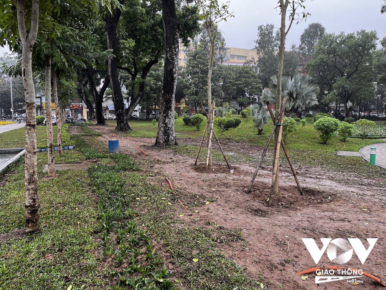 Tuy nhiên, đến nay, mới chỉ có một phần hàng rào mặt đường Trần Nhân Tông được dỡ bỏ và trồng thêm một số cây mới...