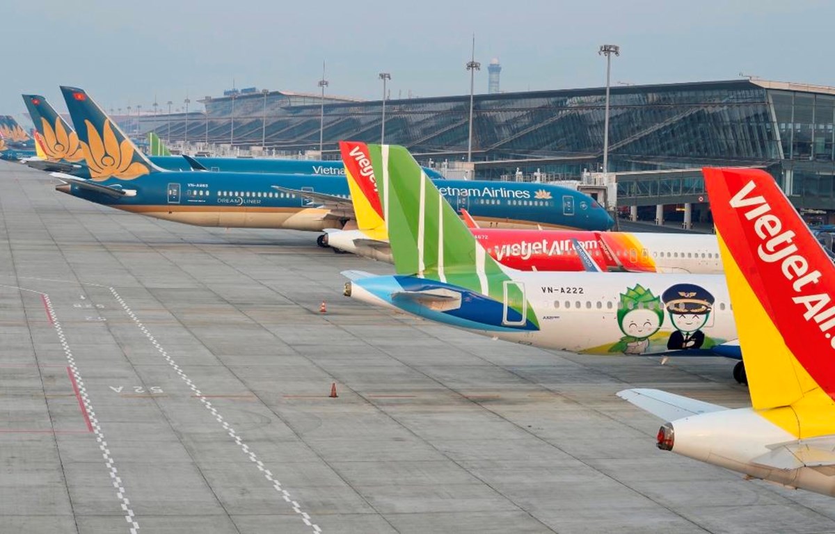 Các hãng hàng không Việt Nam đều kiến nghị bỏ giá trần vé máy bay nội địa. (Ảnh: CTV/Vietnam+)