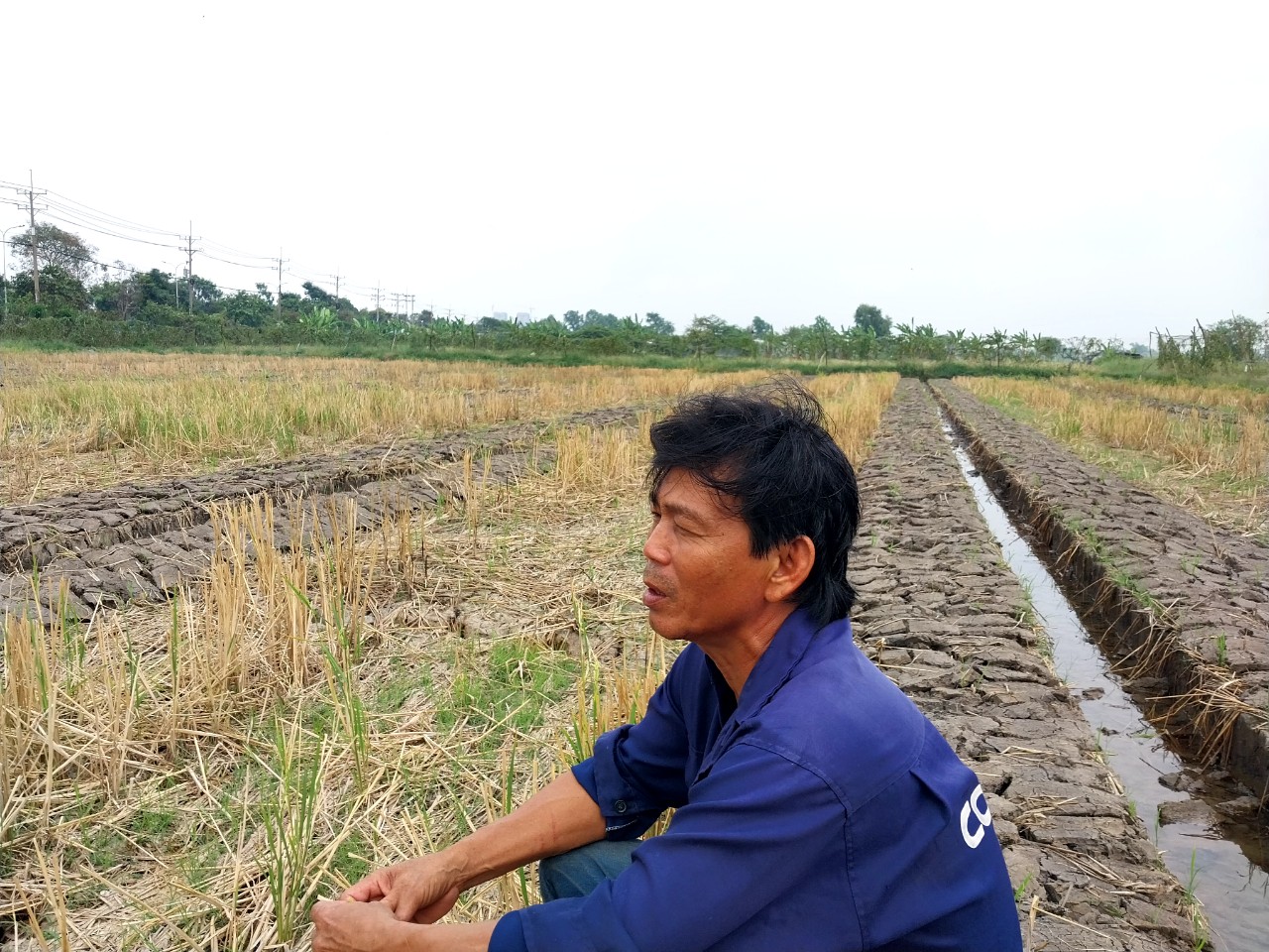 Vợ chồng ông Nguyễn Văn Bá (59 tuổi) từ Trà Vinh lên Sài Gòn cách đây hơn 10 năm lập nghiệp. Hai vợ chồng làm phụ hồ, rồi lớn tuổi, chẳng thể leo giàn giáo được như xưa, ông Bá bỏ nghề. Gần 5 năm trở lại đây, vợ chồng thuê đất trồng dưa, trồng lúa, nuôi gà, thả cá.