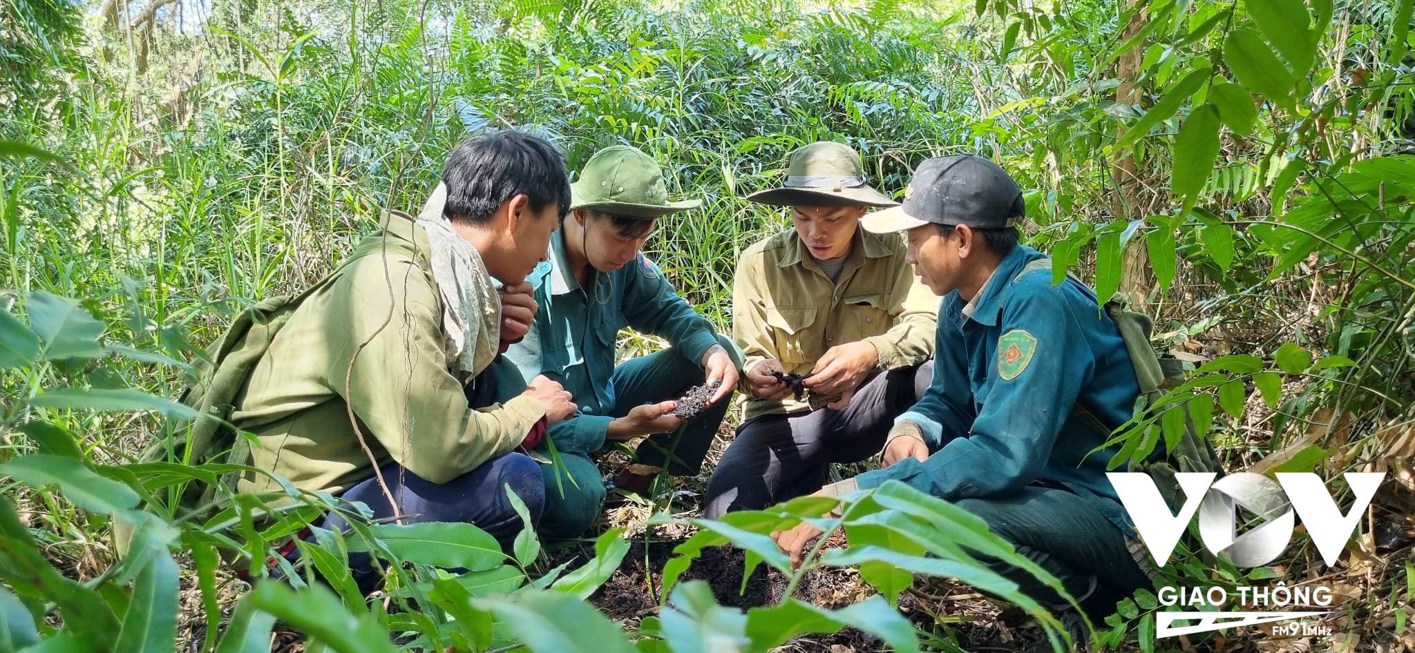 Hiện diện tích rừng U Minh Hạ ( Cà Mau) còn 43 nghìn hecta. Công tác phòng, chống cháy rừng ở đây được Chi cục Kiểm lâm Cà Mau triển khai từ tháng 11 năm trước đến hết mùa mưa năm sau.