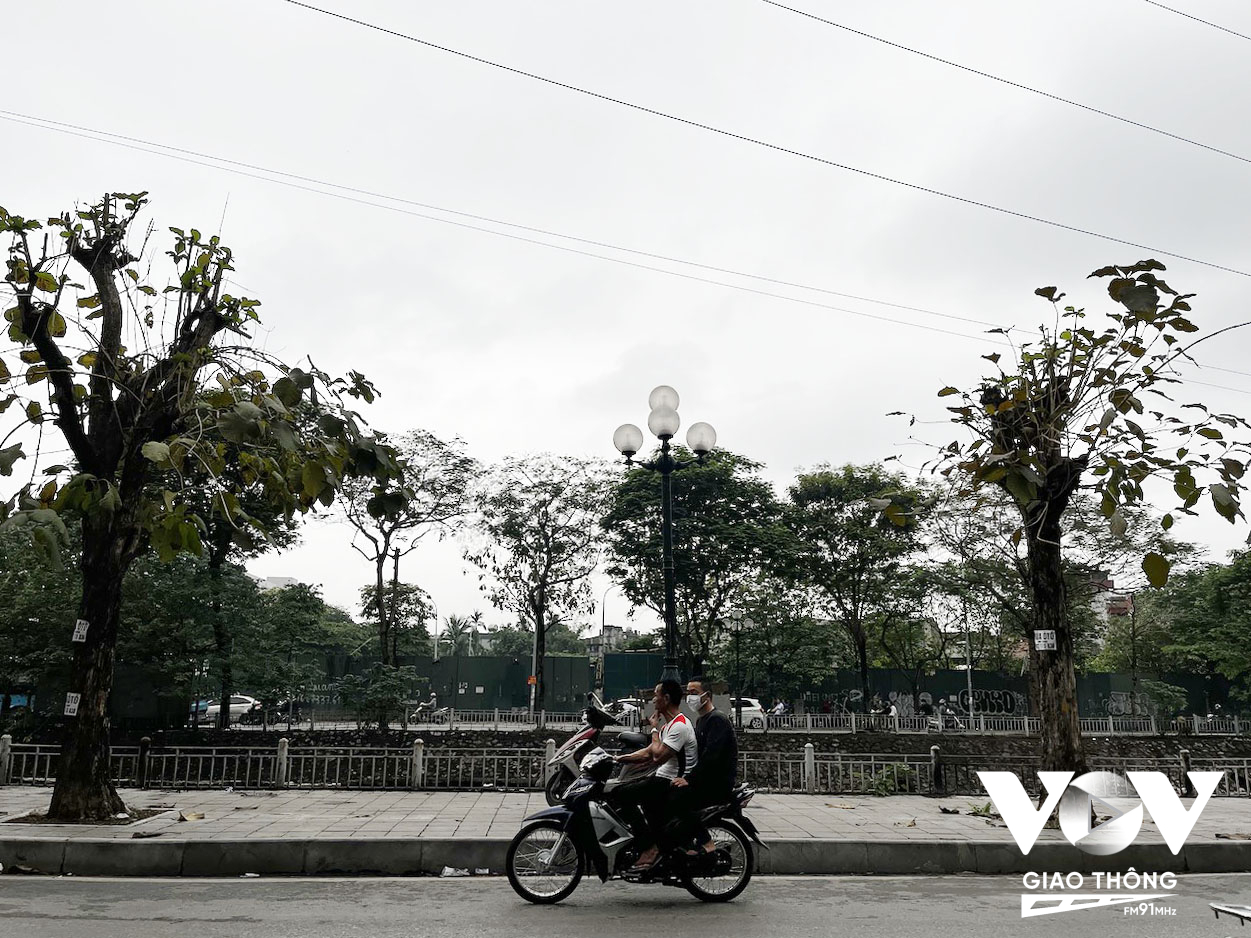 Hà Nội là một trong những thành phố có nhiều cây xanh. Tuy nhiên, tình trạng cây chết, gãy đổ xảy ra khá thường xuyên, đặc biệt có những cây cổ thụ tuổi đời hàng trăm năm