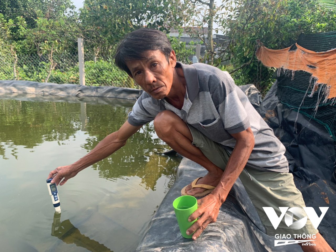 Ông Nguyễn Văn Chương, Chợ Lách, Bến Tre thường xuyên kiểm tra độ mặn của nước trước khi tưới sầu riêng