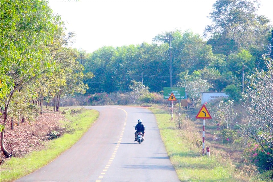 Phương án đầu tư tuyến đường kết nối tỉnh Bình Phước và Đồng Nai không đi qua Khu Dự trữ Sinh quyển Đồng Nai được nhiều bộ, ngành, UNESCO và 2 địa phương cơ bản thống nhất (Ảnh: Lao Động)