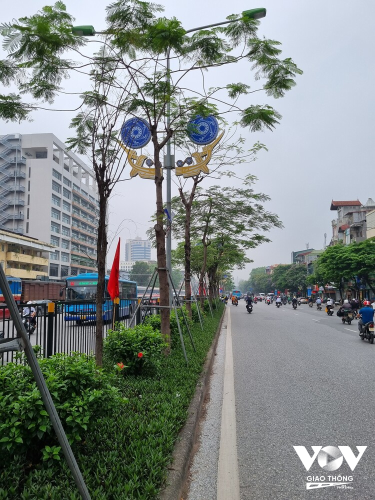 Hàng cây phượng vĩ được trồng trên đường Giải Phóng, Hà Nội từ năm 2016, đã 7 năm nhưng chưa cho bóng mát