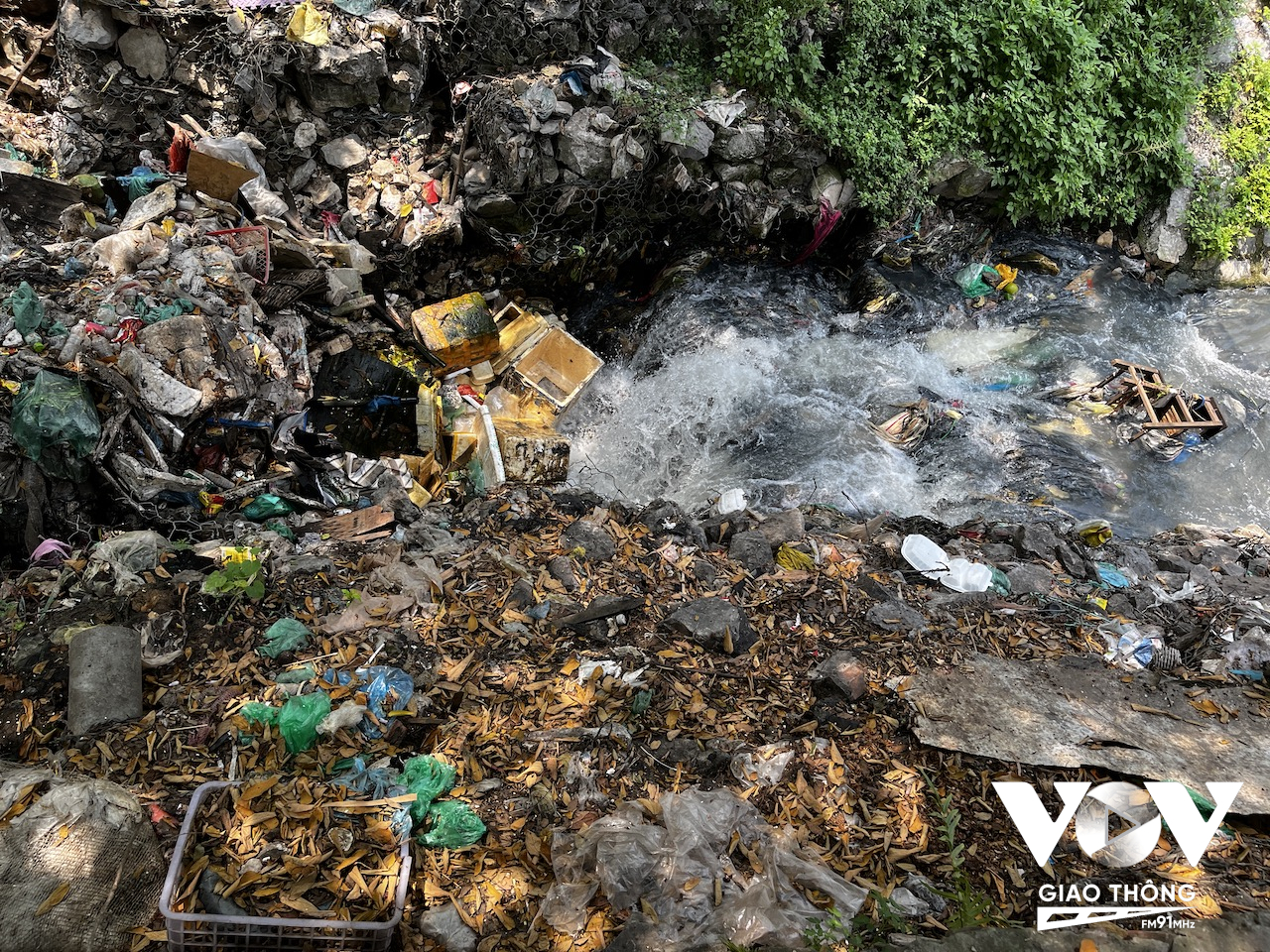 Do nước thải đều chưa qua xử lý nên lúc nào cũng đen đặc và bốc mùi hôi thối, cùng rác thải từ chợ Long Biên gần đó và cư dân sinh sống ở khu. vực này vứt trực tiếp xuống đây