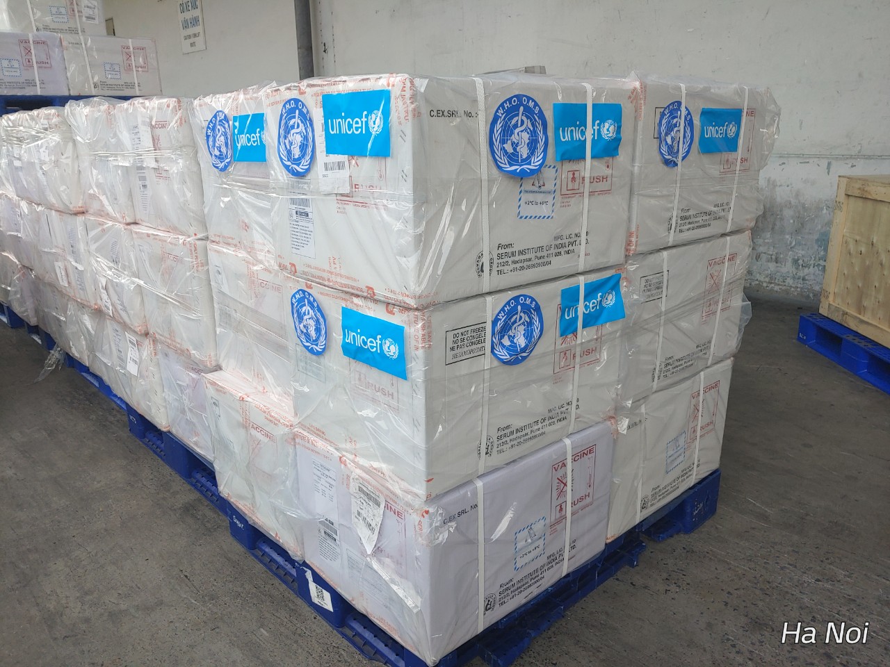 Lô vaccine 5 trong 1 được WHO và UNICEF hõ trợ khẩn cấp đã về tới Hà Nội hôm 27-7