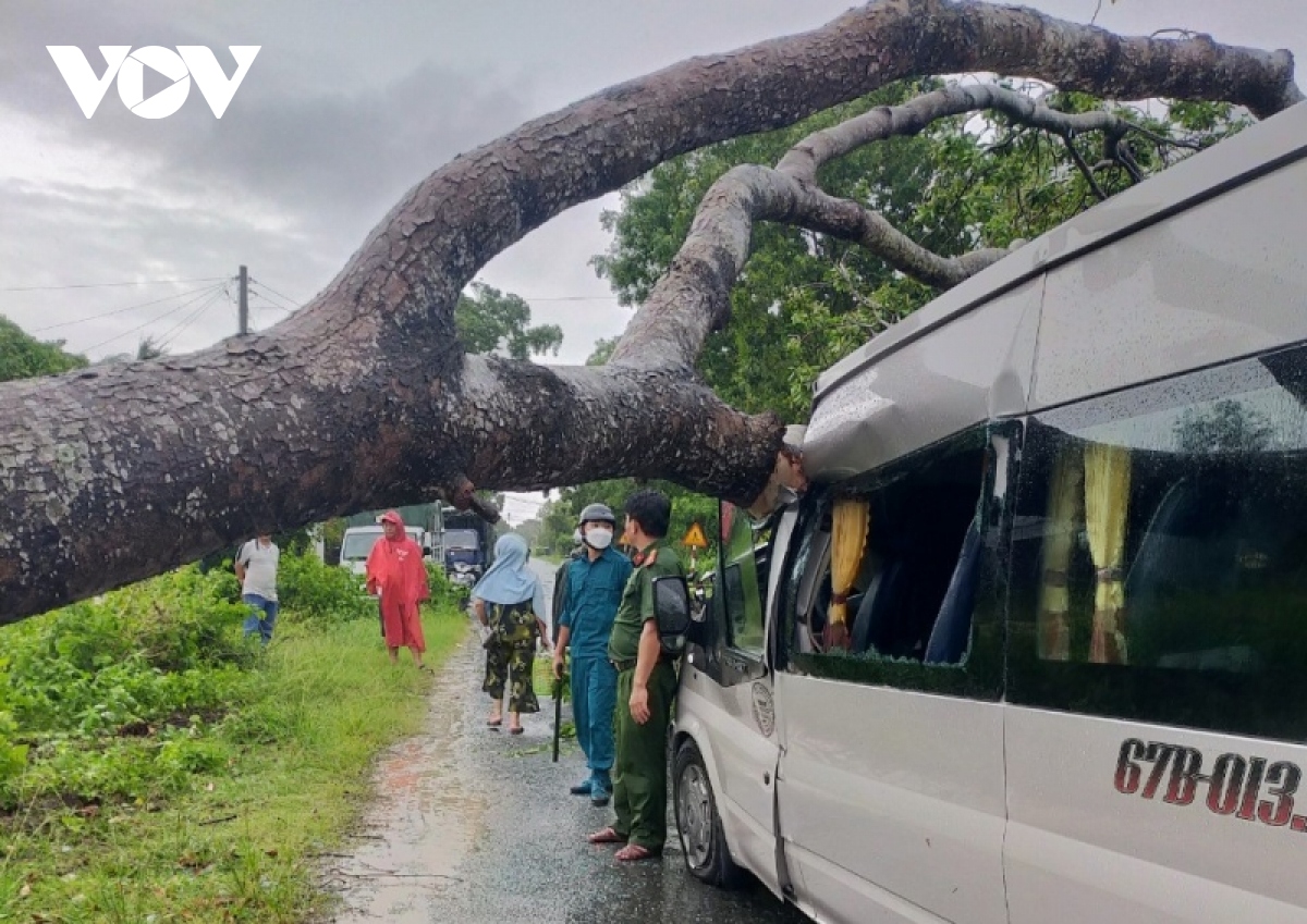 Cây xanh đổ ngã ở tỉnh Kiên Giang (Ảnh: vov.vn)