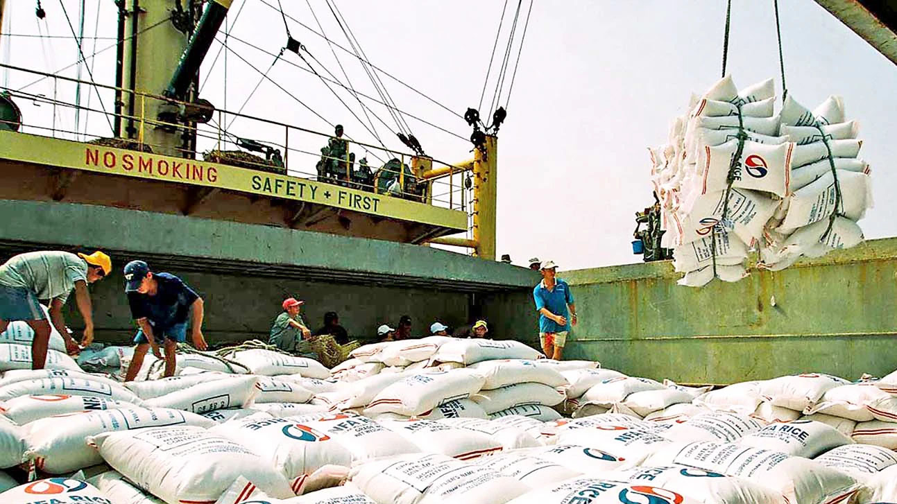 Trong tháng 7/2023, Việt Nam xuất khẩu 660.738 tấn gạo, kim ngạch 362,66 triệu USD