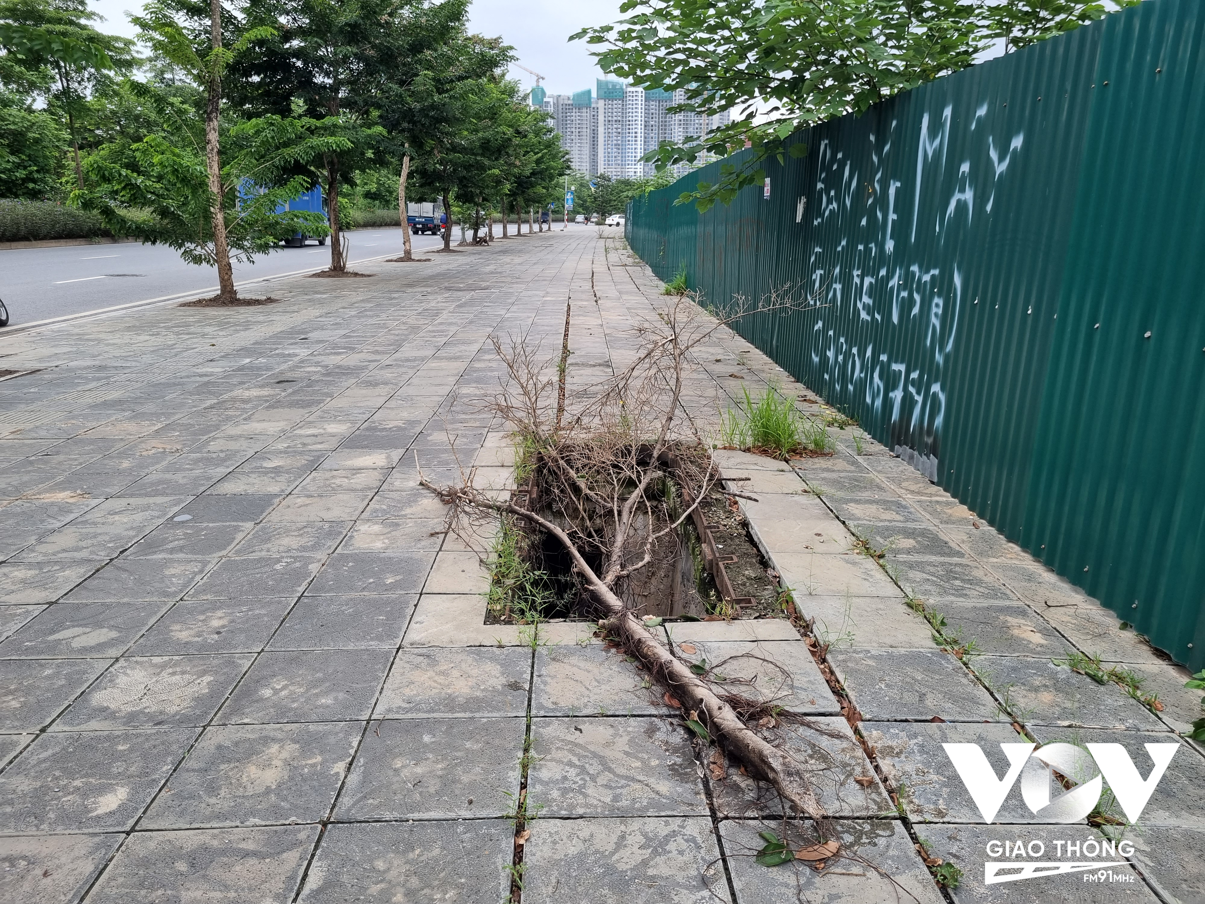 Tại đường Lý Thánh Tông, Gia Lâm, khoảng 40 hố ga cáp ngầm trên vỉa hè bị mất nắp đậy bằng kim loại, như những chiếc ''bẫy'' người đi đường. Ảnh: Minh Hiếu