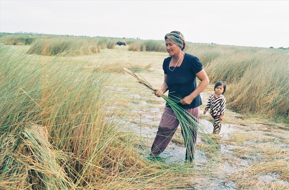 Từ bao đời nay, người Khmer đã biết nhổ cỏ bàng về phơi khô, đập dập rồi đan cà ròn, đệm, chiếu, giỏ, nón... phục vụ cuộc sống hàng ngày